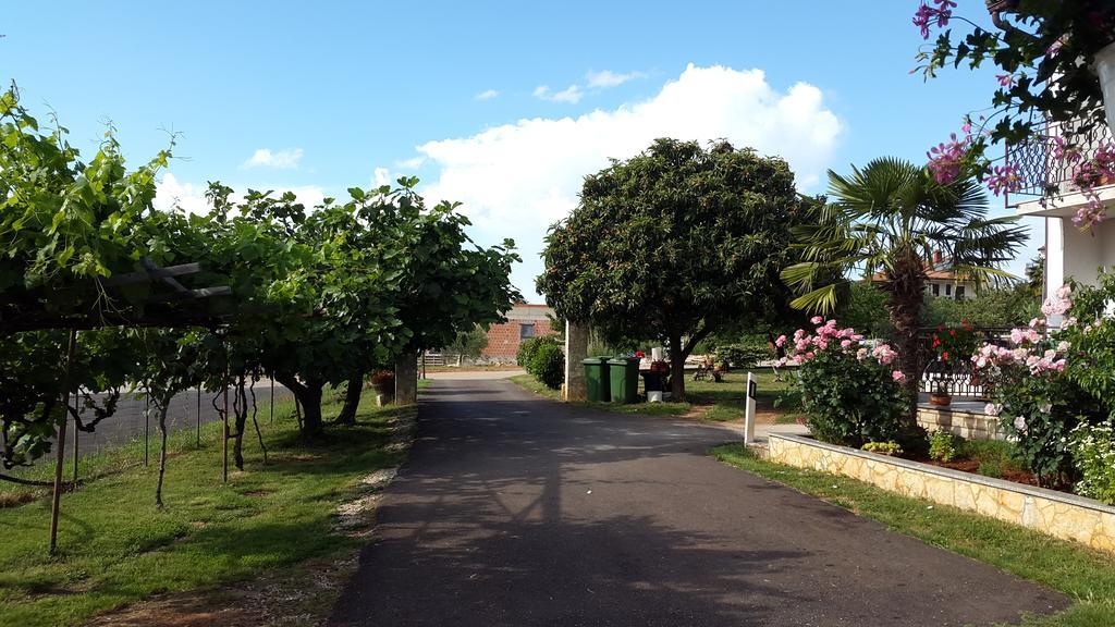 Apartment Samanta Novigrad Istria Eksteriør billede